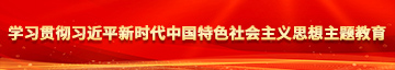 www.日少妇的B学习贯彻习近平新时代中国特色社会主义思想主题教育